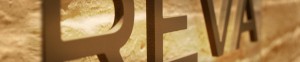 3D rendering of the word "REVA"