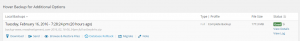 BackupBuddy restore options