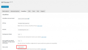 WP Rocket CloudFlare Settings